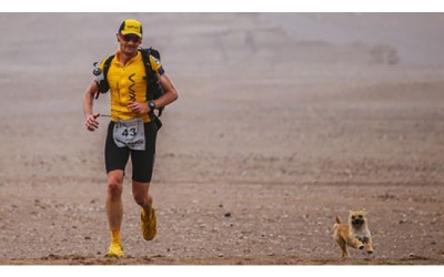 馬拉松跑到一半遇「狗狗亂入陪跑百公里」賽後卻失蹤...他橫越了「半個地球」終於把牠帶回家