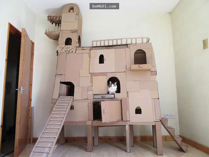猫奴为了家中主子自己动手做了「超豪华五星级纸箱城堡」认真觉得主人